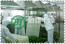 CG箱式脫水干燥機(jī)